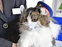ガルちゃんで画像（サイト）を貼り付ける方法＆練習Part26