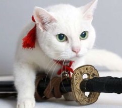 ガルちゃんで画像（サイト）を貼り付ける方法＆練習Part26