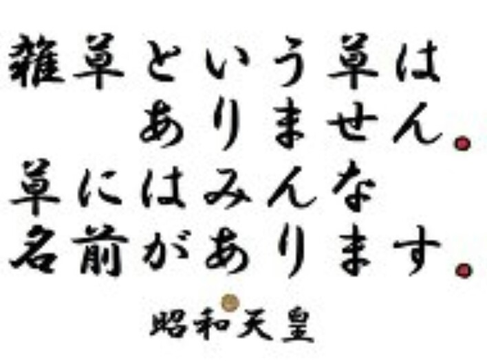 ガルちゃんで画像（サイト）を貼り付ける方法＆練習Part26