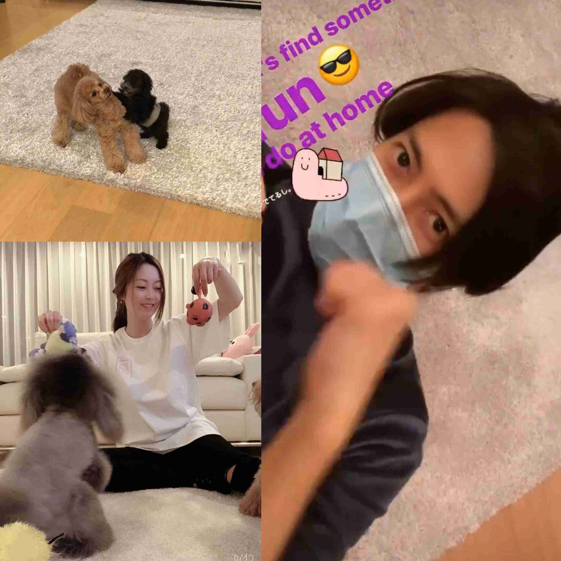 性格良さそうな芸能人