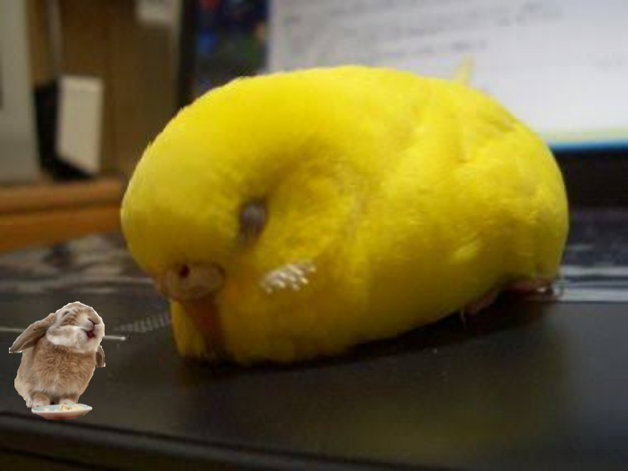 【スギちゃん雑談】大変なことはたくさんあるけど乗り切ろうぜぇpart47
