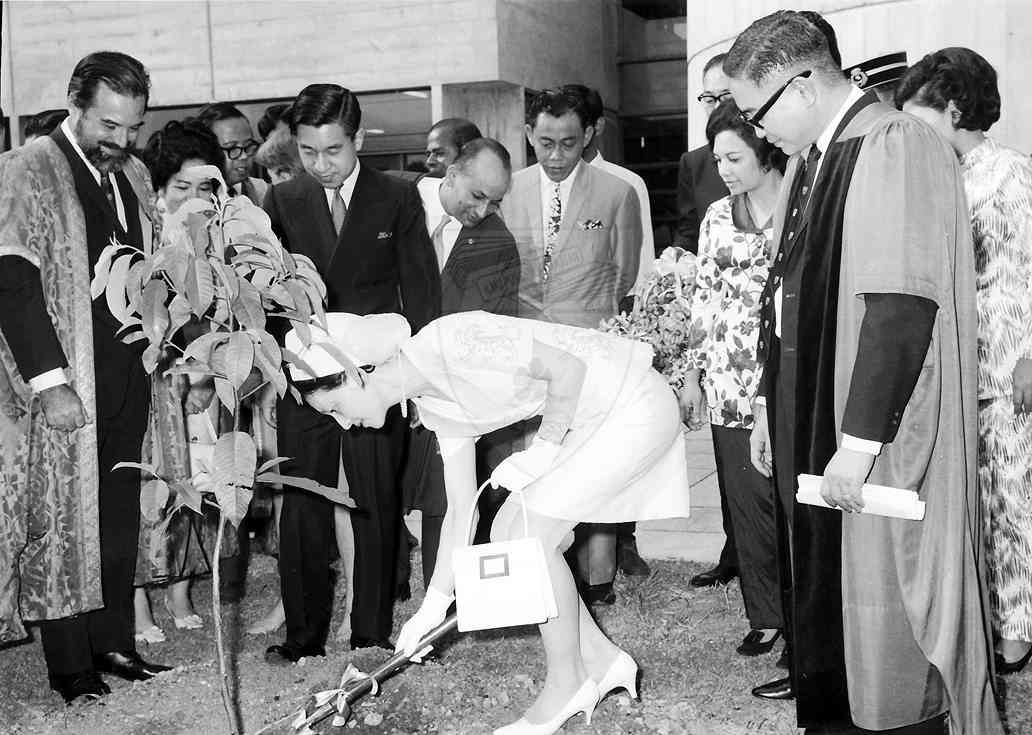 「立皇嗣の礼」延期を決定 新型コロナ感染拡大で