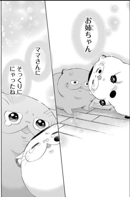 散歩に出た犬　10か月前に離れ離れになったきょうだいを見つけハグ（英）