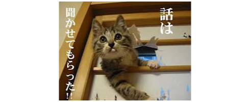 猫、ウォーターサーバーの仕組みを理解する