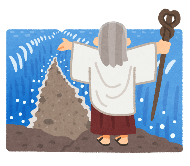 シートパック毎日使っていますか？