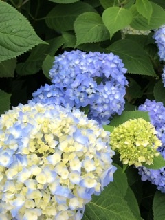みんなが集まる優しい週末雑談トピ