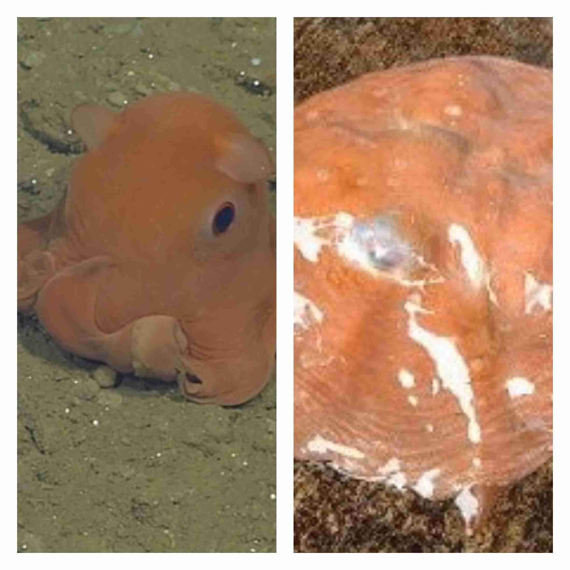 【ネタ】誰かが貼ってくれた画像にただひたすら突っ込むトピpart2