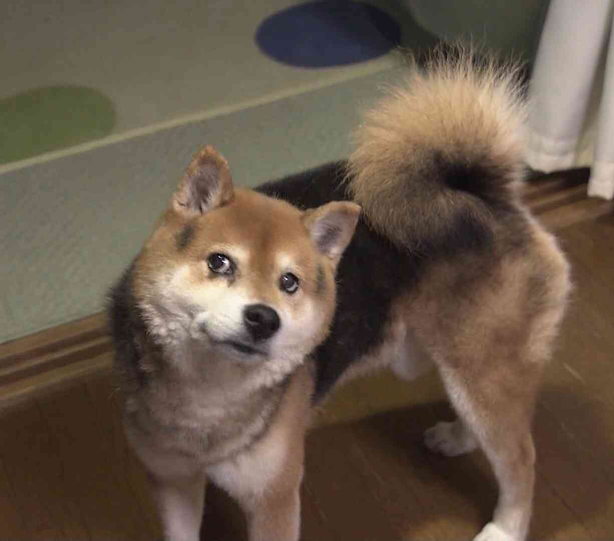 産後の抜け毛について