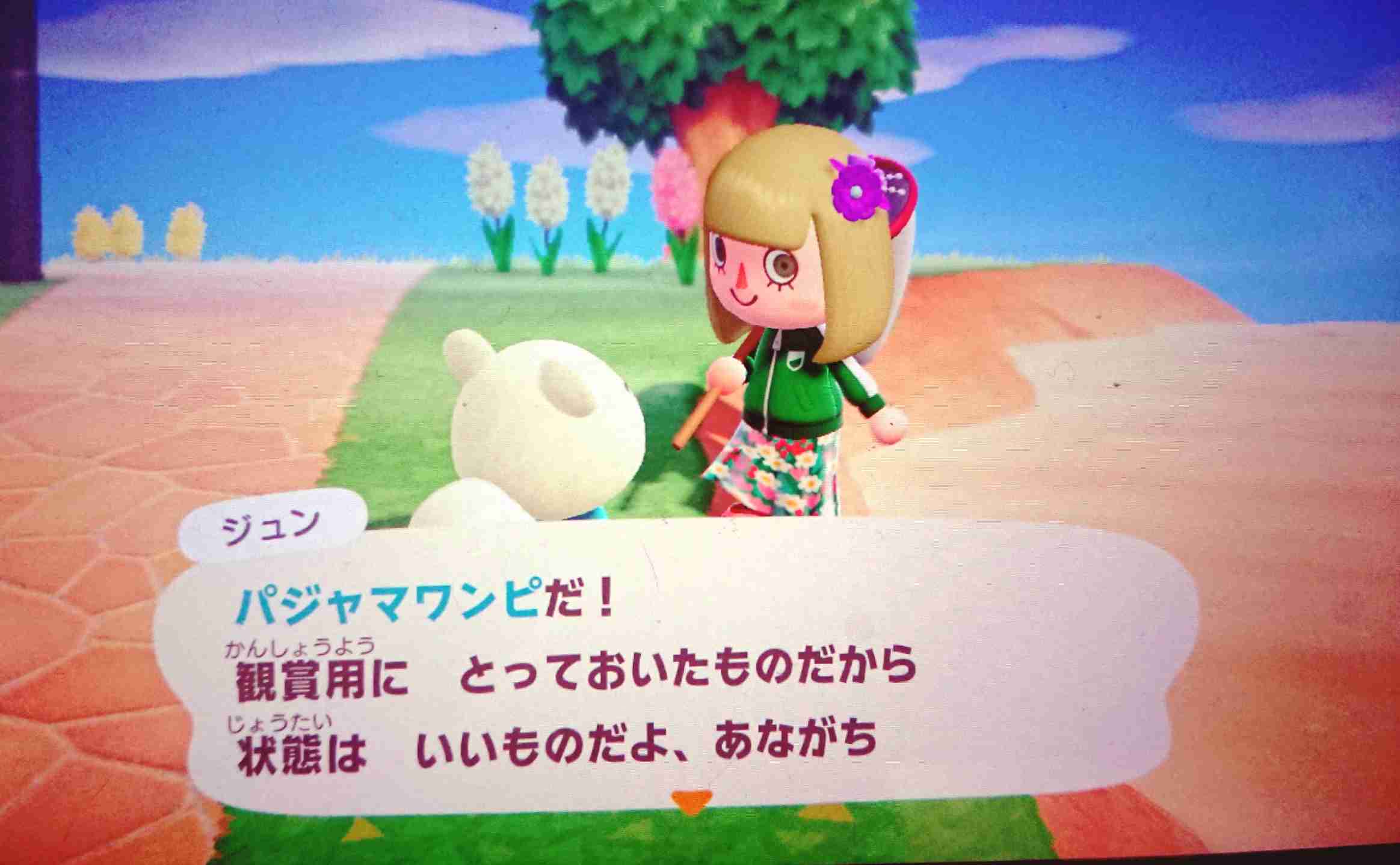 【あつ森】「あつまれ どうぶつの森」で遊んでいる人 Part 1【攻略・雑談】 