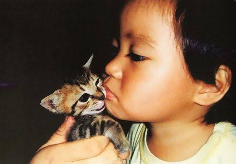 【画像】ジャニーズの幼少期〜少年時代 part2