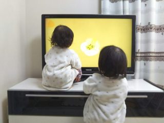 子供のTVへの執着が激しい