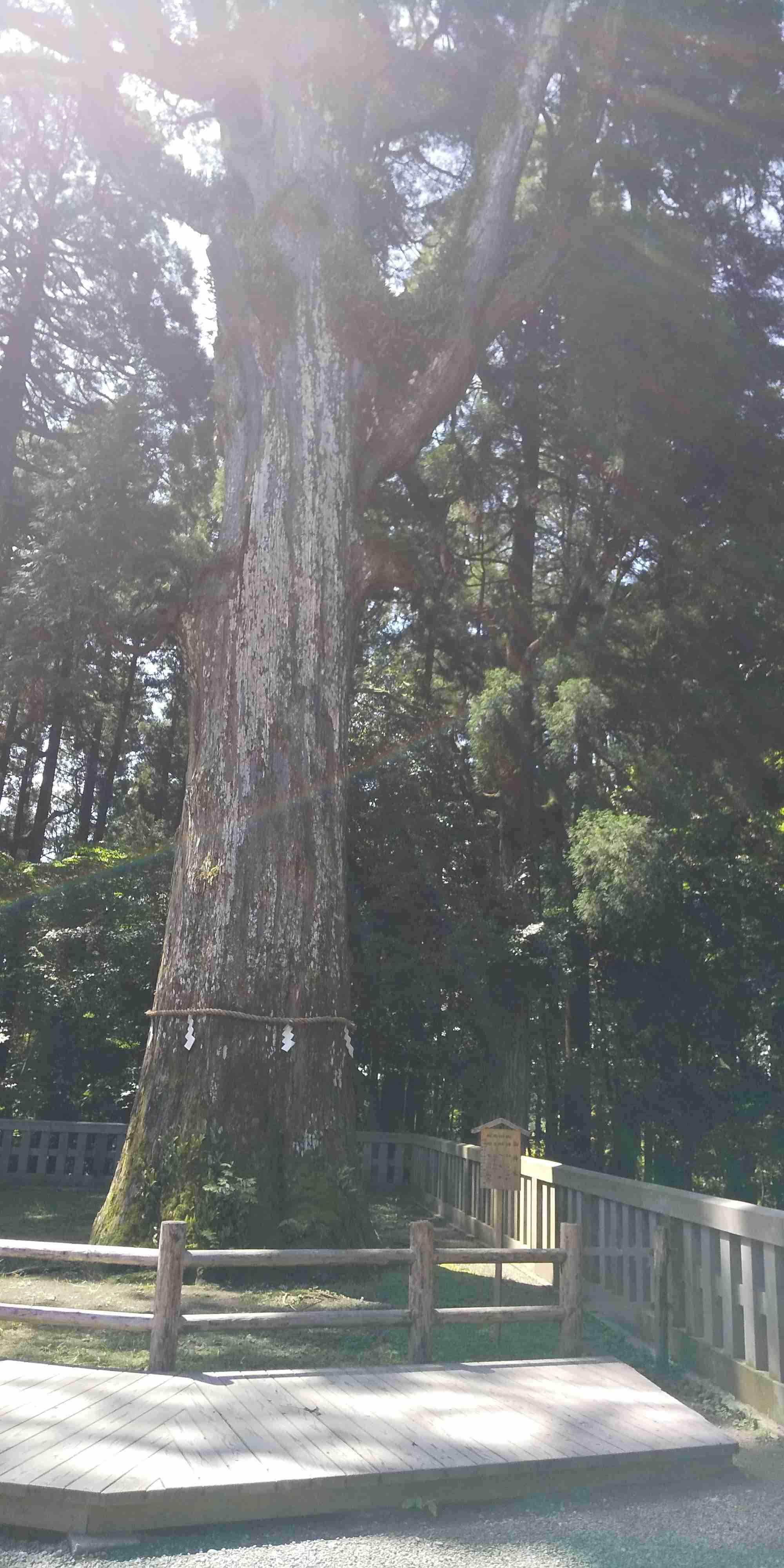 神社やパワースポットに行った後起きた、不思議な体験、ご利益体験part15