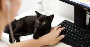 在宅勤務で絶対誰か一人はやってそうなこと