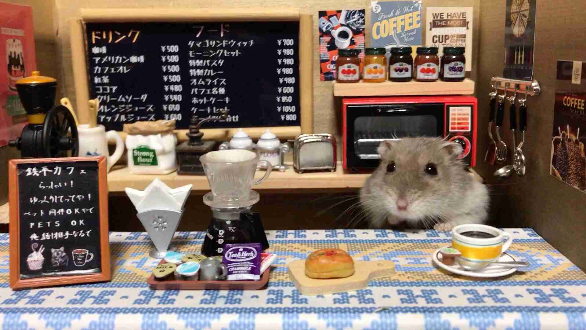 ドールハウスやミニチュアハウスが見たい！