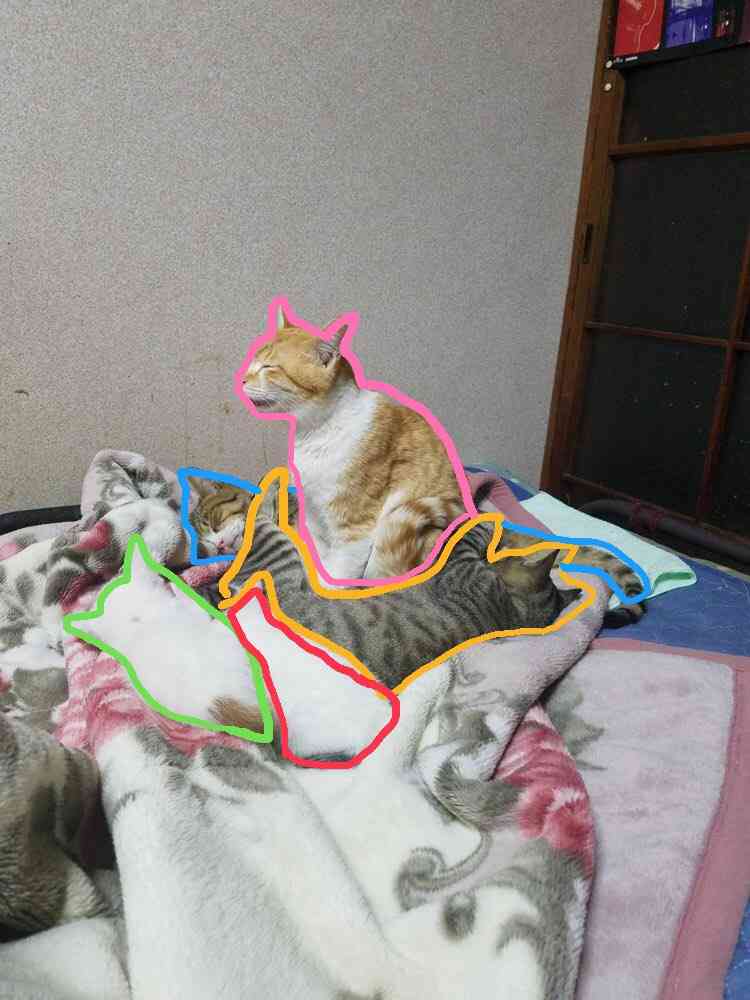 「嘘みたいだろ…？寝てるんだぜ、これ……」 自由過ぎるにゃんこの寝相がTwitterで大人気に