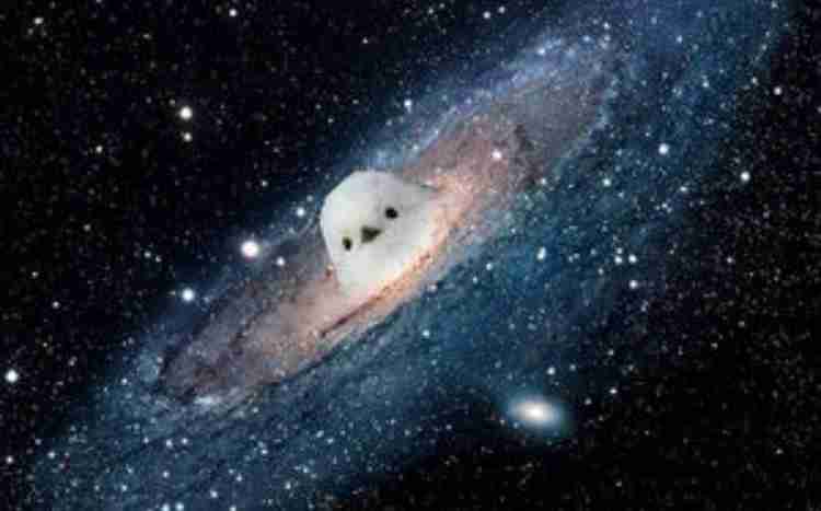 宇宙に興味がある人