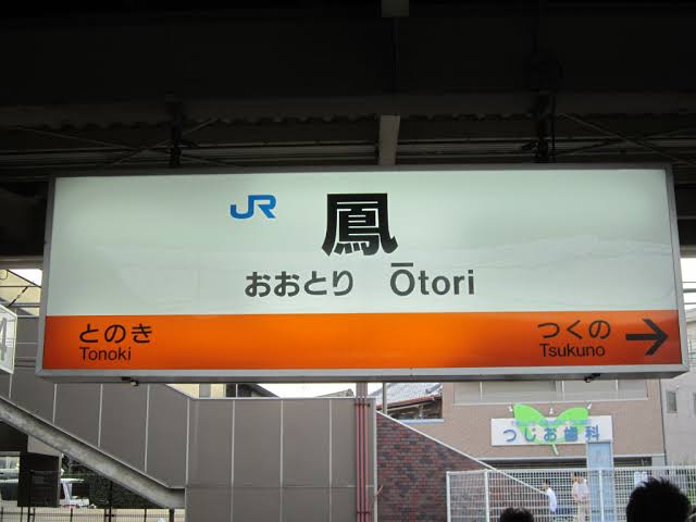 鳥が集まってくるトピ
