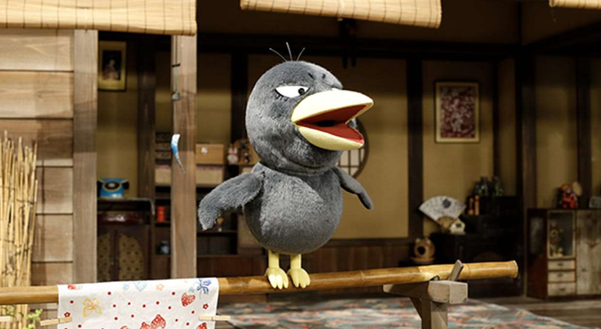 鳥が集まってくるトピ