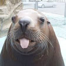 正直、辞めて欲しい癖