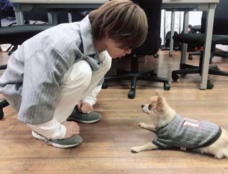 【ジャニーズ】待ち受けにしたら彼氏に見える画像 part7