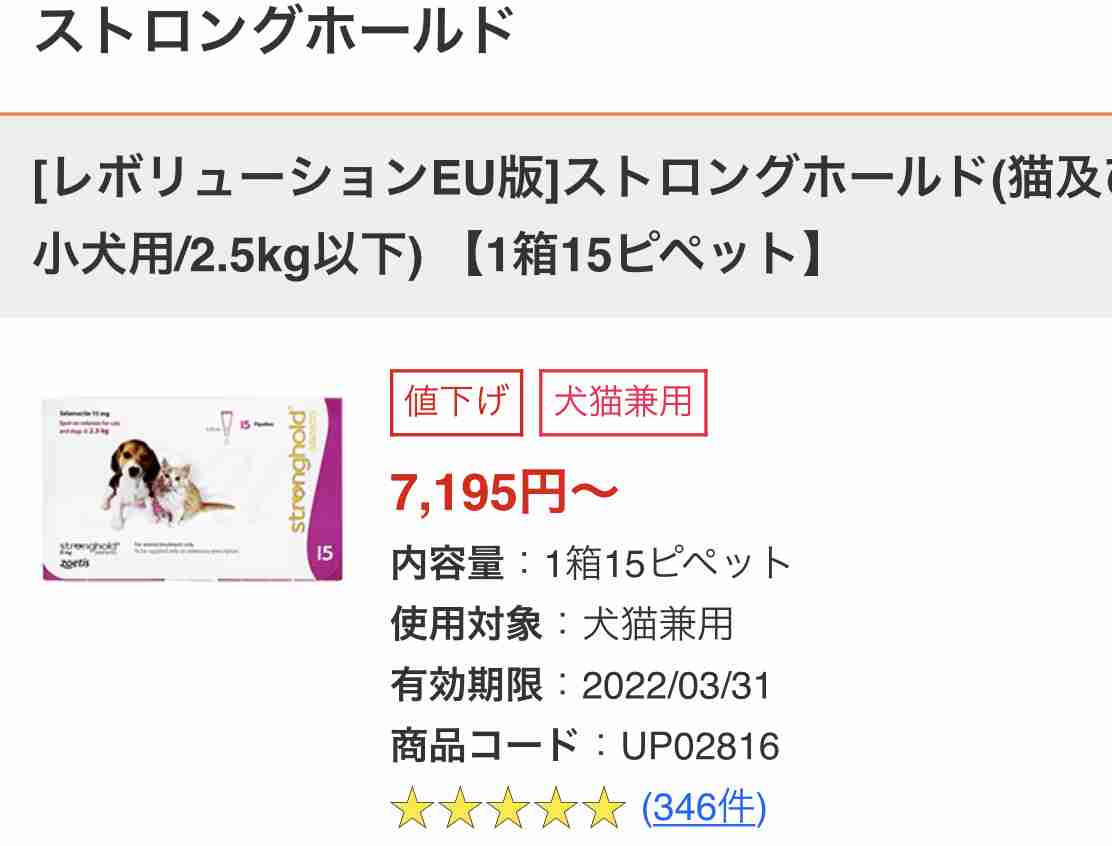 犬 初心者 質問コーナー