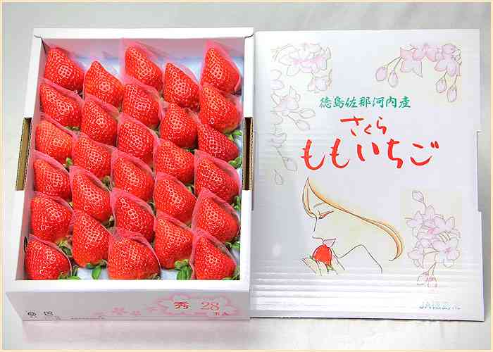 高いけどこれを買え！！