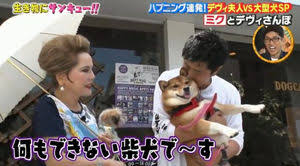デヴィ夫人「我が家のワンちゃんは、私より衣装持ち」想像を超える衣装の数にファン驚愕