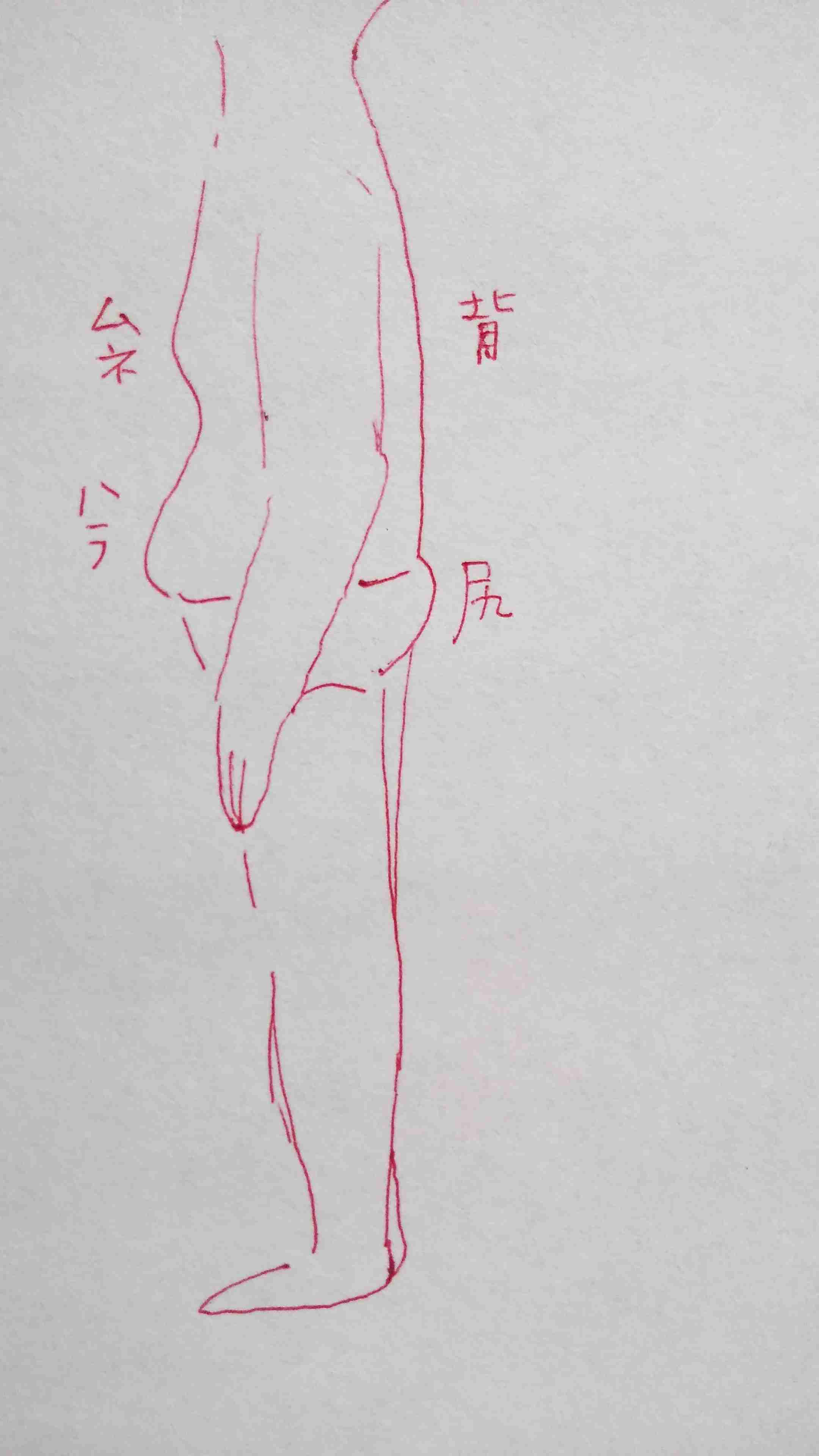 自分の体型を絵で伝えるトピ