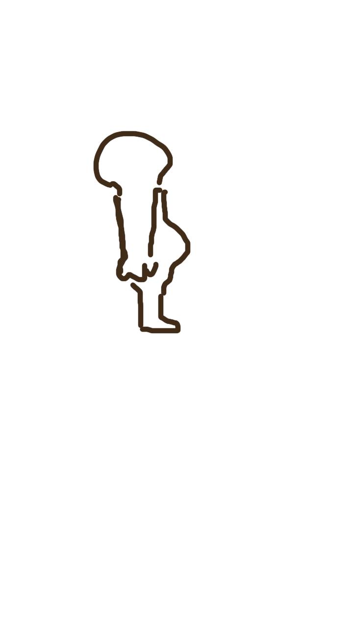 自分の体型を絵で伝えるトピ