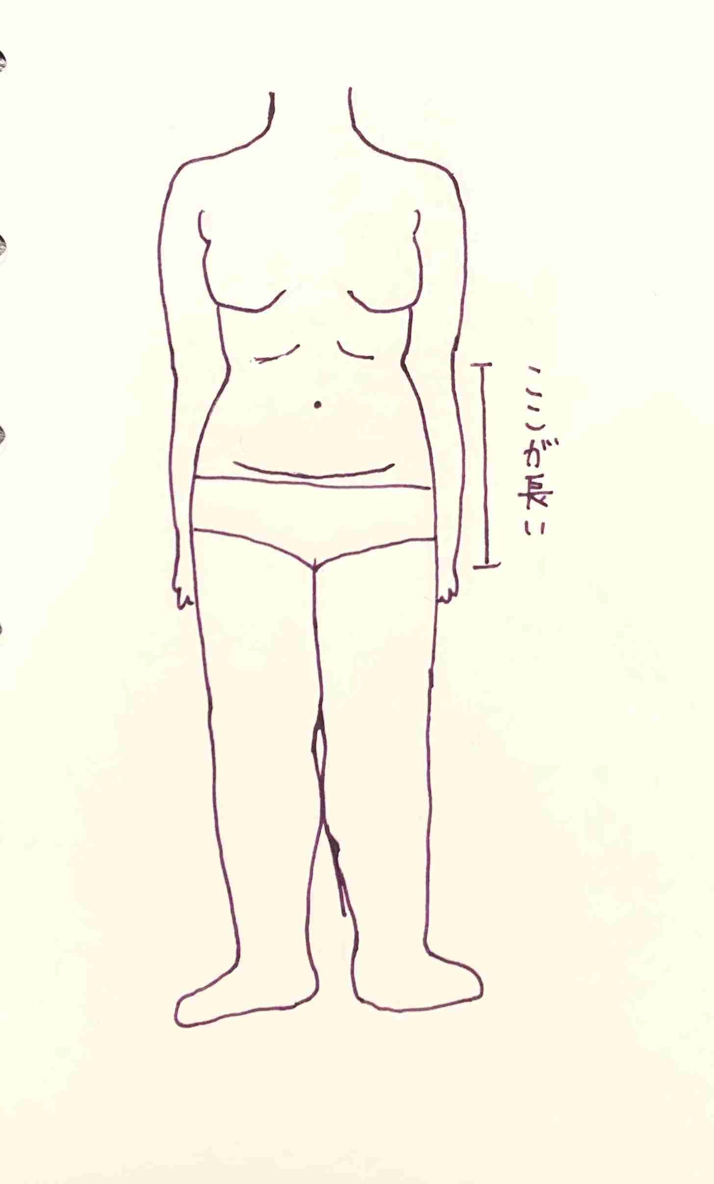 自分の体型を絵で伝えるトピ