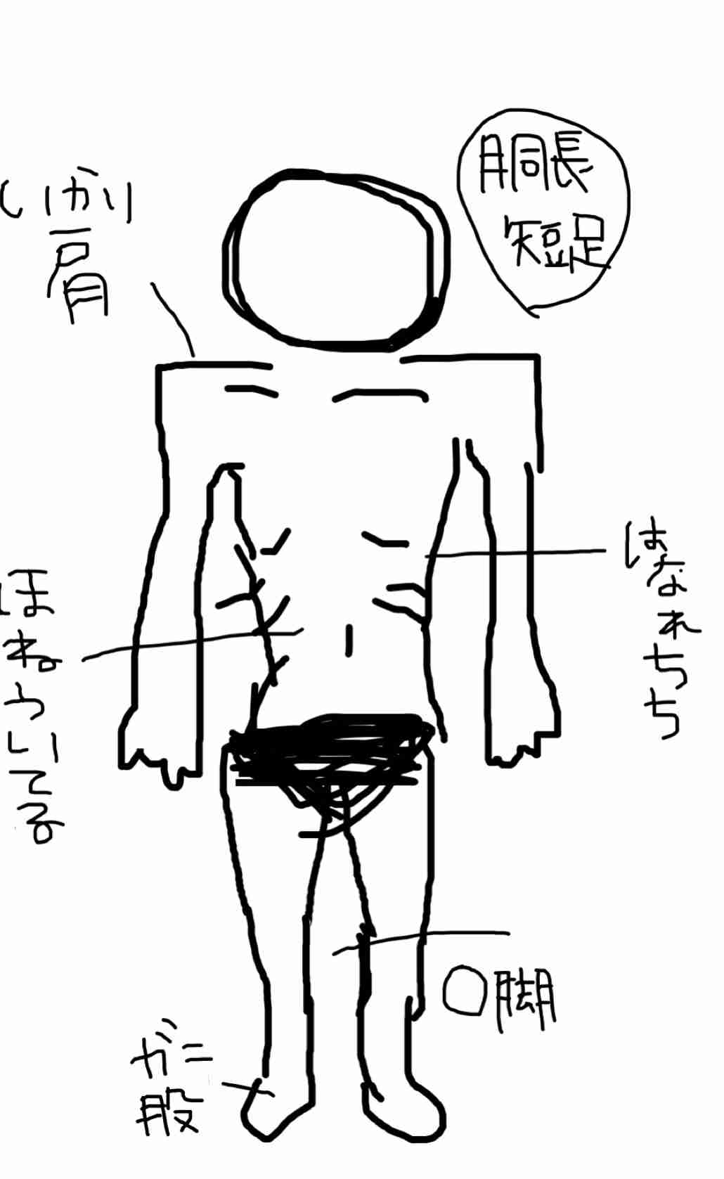 自分の体型を絵で伝えるトピ