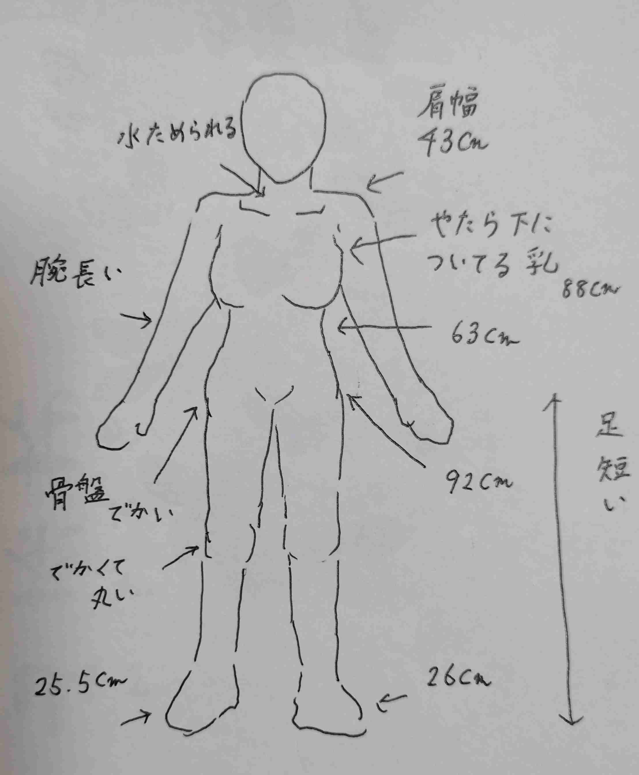 自分の体型を絵で伝えるトピ