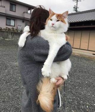 いろんなサイズの違いがわかる画像を貼るトピ