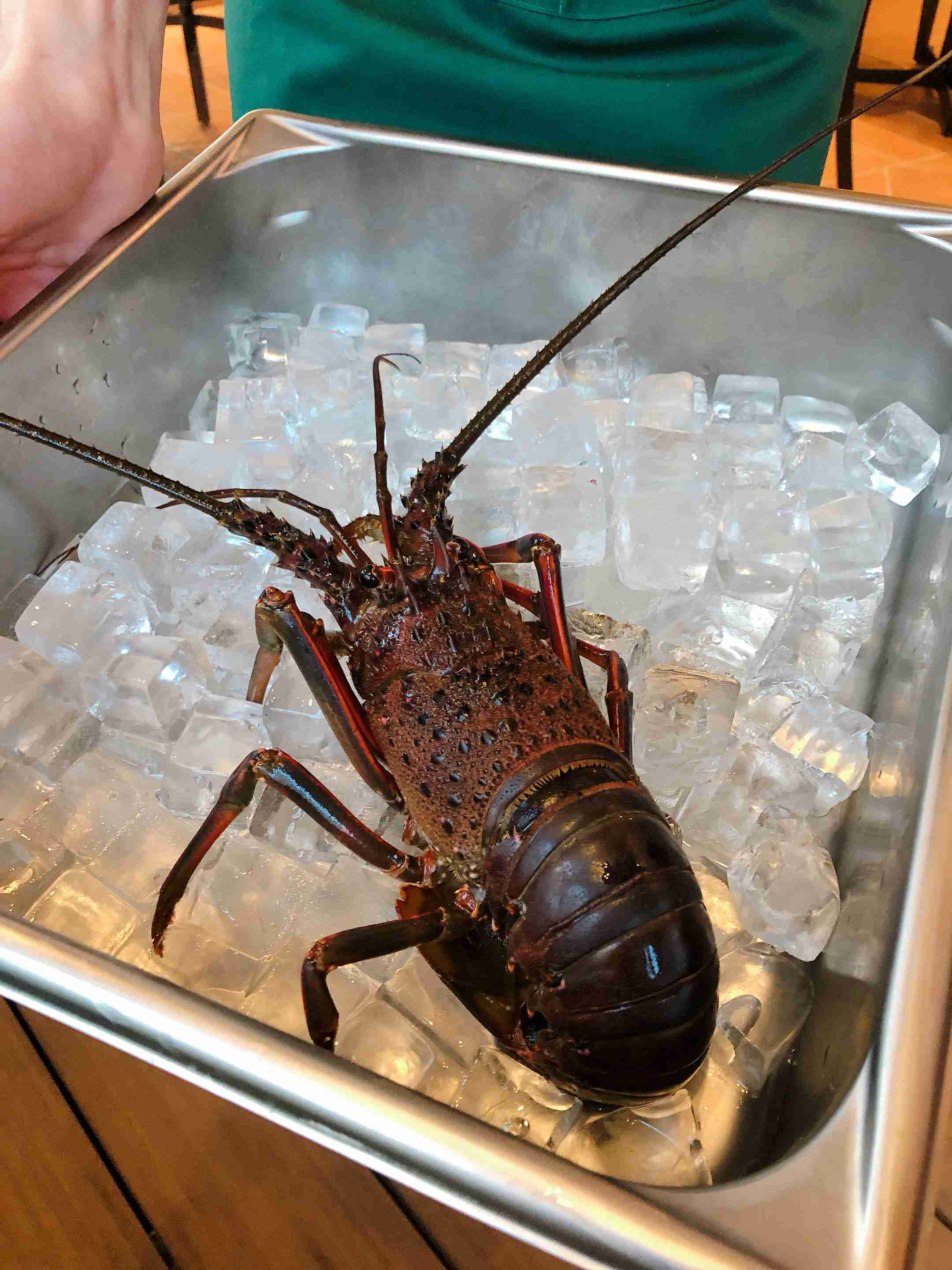高級食材が見たい！
