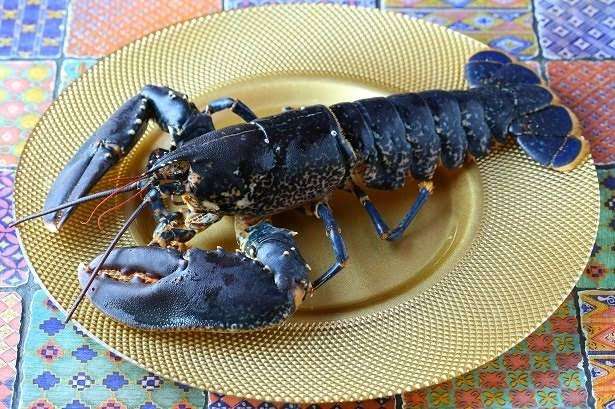 高級食材が見たい！