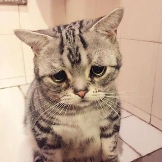 おいでよ!雑談の森!PART5