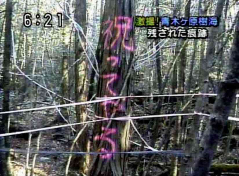 「太陽を見せたかった」 「SAN」と落書きした女を逮捕