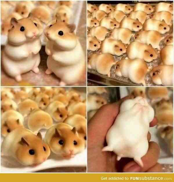 わらび餅が好き！！