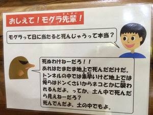 わらび餅が好き！！