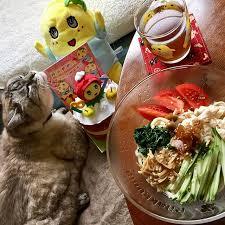 わらび餅が好き！！
