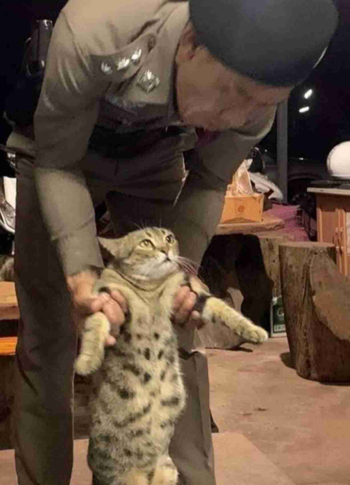 わらび餅が好き！！