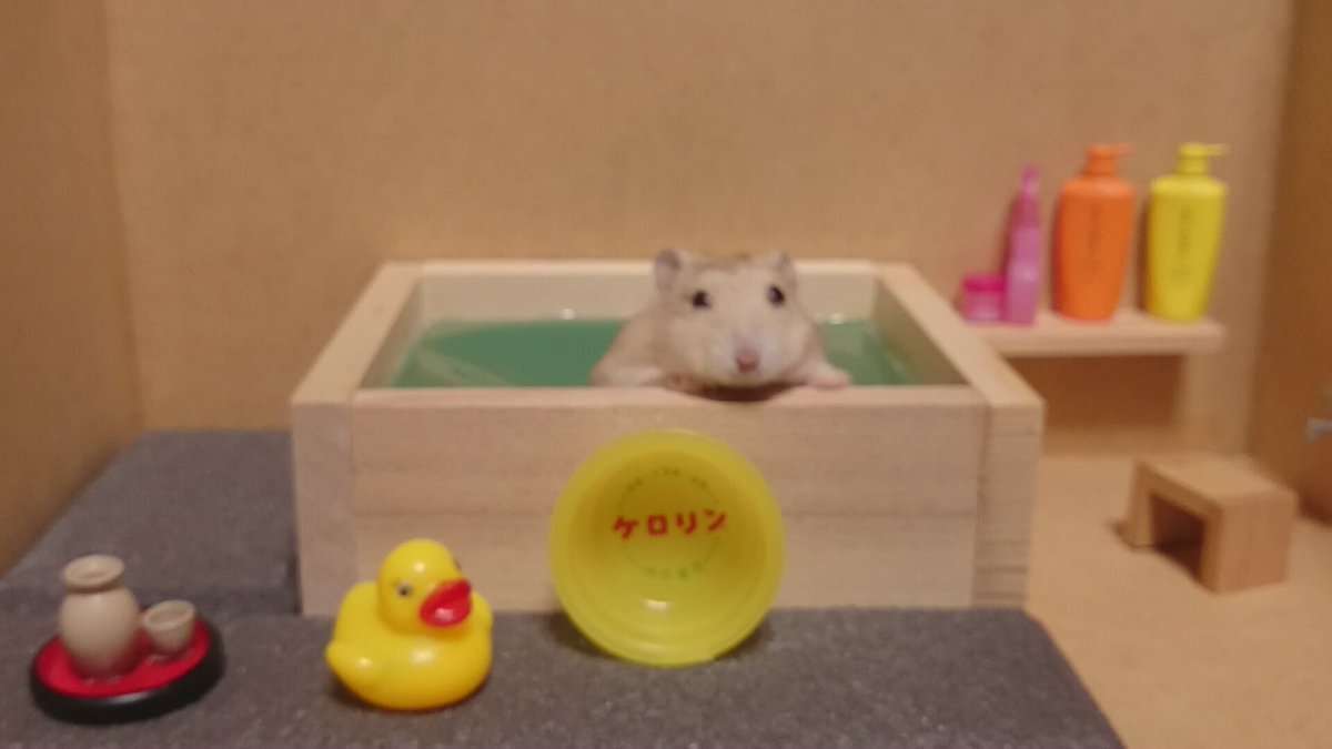 わらび餅が好き！！