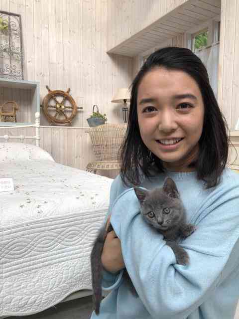 猫と動物たち