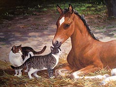 猫と動物たち