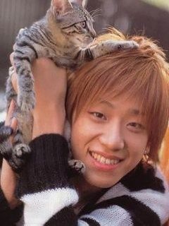 猫と動物たち