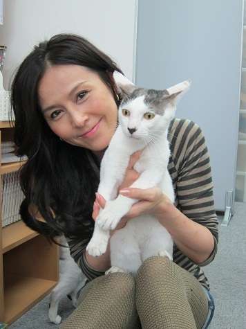 猫と動物たち