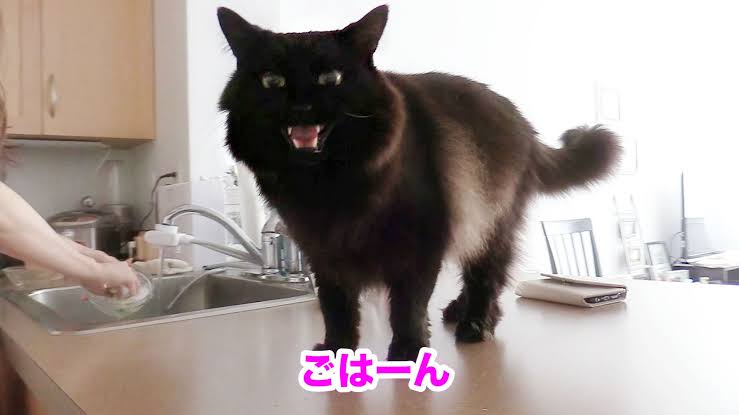 マクドナルドのあるある