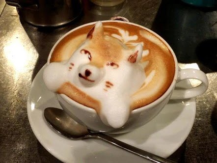 もしやガルちゃん民?って思ったこと
