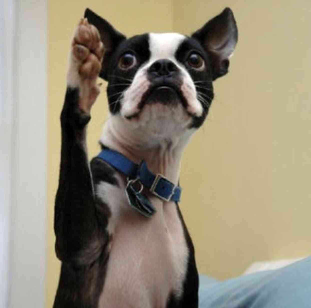 【ネタトピ】東進ハイスクールの講師っぽい画像