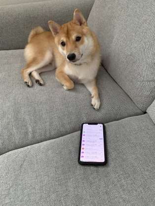 コロナに疲れた人が弱音を吐き出していいトピpart2